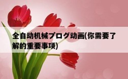 全自動機械プログ動畫，你需要了解的重要事項