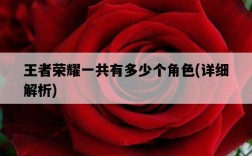 王者榮耀一共有多少個角色，詳細解析