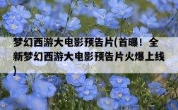 夢幻西游大電影預告片，首曝！全新夢幻西游大電影預告片火爆上線