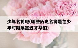 少年名將吧，哪些歷史名將是在少年時期展露過才華的