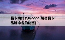 昆卡為什么叫coco，解密昆卡品牌命名的秘密