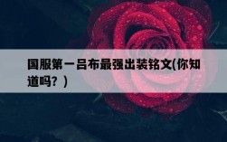 國服第一呂布最強出裝銘文，你知道嗎？