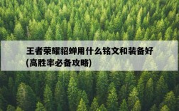 王者榮耀貂蟬用什么銘文和裝備好，高勝率必備攻略