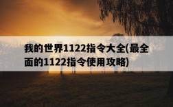 我的世界1122指令大全，最全面的1122指令使用攻略