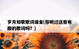 歲月如歌歌詞諧音，你聽過這些有趣的歌詞嗎？