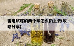 雷電試煉的兩個球怎么扔上去，攻略分享