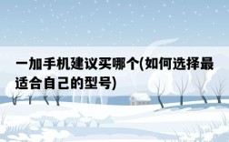 一加手機建議買哪個，如何選擇最適合自己的型號