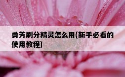 勇芳刷分精靈怎么用，新手必看的使用教程