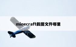 minecraft截圖文件哪里