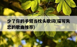 少了你的手臂當枕頭歌詞，描寫失戀的歌曲推薦