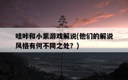 哇咔和小紫游戲解說，他們的解說風格有何不同之處？