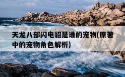 天龍八部閃電貂是誰的寵物，原著中的寵物角色解析