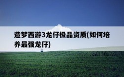 造夢西游3龍仔極品資質，如何培養最強龍仔