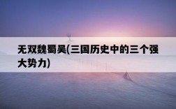 無雙魏蜀吳，三國歷史中的三個強大勢力