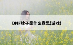 DNF牌子是什么意思，游戲