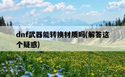 dnf武器能轉換材質嗎，解答這個疑惑