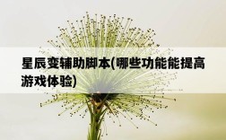 星辰變輔助腳本，哪些功能能提高游戲體驗