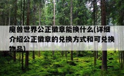 魔獸世界公正徽章能換什么，詳細介紹公正徽章的兌換方式和可兌換物品