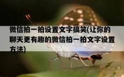 微信拍一拍設置文字搞笑，讓你的聊天更有趣的微信拍一拍文字設置方法