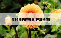 ff14海釣在哪里，詳細指南