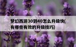夢幻西游30到40怎么升級快，有哪些有效的升級技巧