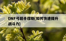 DNF弓箭手繆斯，如何快速提升戰斗力