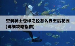 空洞騎士蒼綠之徑怎么去王后花園，詳細攻略指南