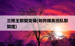 蘭陵王默契交鋒，如何提高團隊默契度