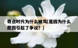 奇點時代為什么被罵，是因為什么原因引起了爭議？