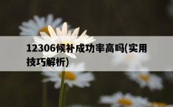 12306候補成功率高嗎，實用技巧解析