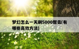 夢幻怎么一天刷5000幫貢，有哪些高效方法