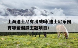 上海迪士尼有漫威嗎，迪士尼樂園有哪些漫威主題項目