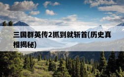 三國群英傳2抓到就斬首，歷史真相揭秘