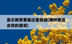 顯示屏用霧面還是鏡面，哪種更適合你的需求
