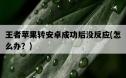 王者蘋果轉安卓成功后沒反應，怎么辦？