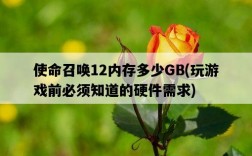 使命召喚12內存多少GB，玩游戲前必須知道的硬件需求
