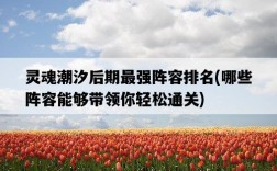 靈魂潮汐后期最強陣容排名，哪些陣容能夠帶領你輕松通關