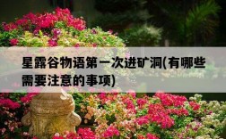 星露谷物語第一次進礦洞，有哪些需要注意的事項