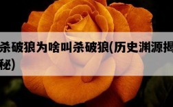 殺破狼為啥叫殺破狼，歷史淵源揭秘
