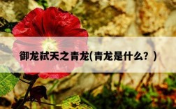 御龍弒天之青龍，青龍是什么？