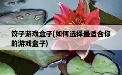 餃子游戲盒子，如何選擇最適合你的游戲盒子