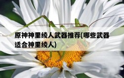 原神神里綾人武器推薦，哪些武器適合神里綾人