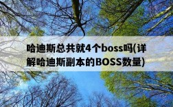 哈迪斯總共就4個boss嗎，詳解哈迪斯副本的BOSS數量