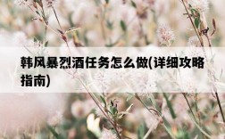 韓風暴烈酒任務怎么做，詳細攻略指南