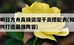 明日方舟高級資深干員搭配表，如何打造最強陣容