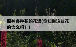 原神各種花的花語，你知道這些花的含義嗎？