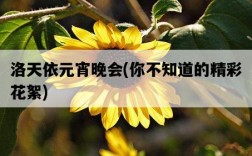 洛天依元宵晚會，你不知道的精彩花絮