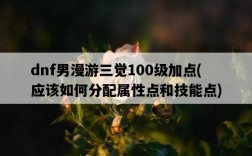 dnf男漫游三覺100級加點，應該如何分配屬性點和技能點