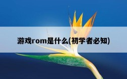 游戲rom是什么，初學者必知