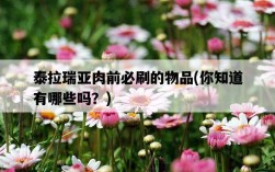 泰拉瑞亞肉前必刷的物品，你知道有哪些嗎？